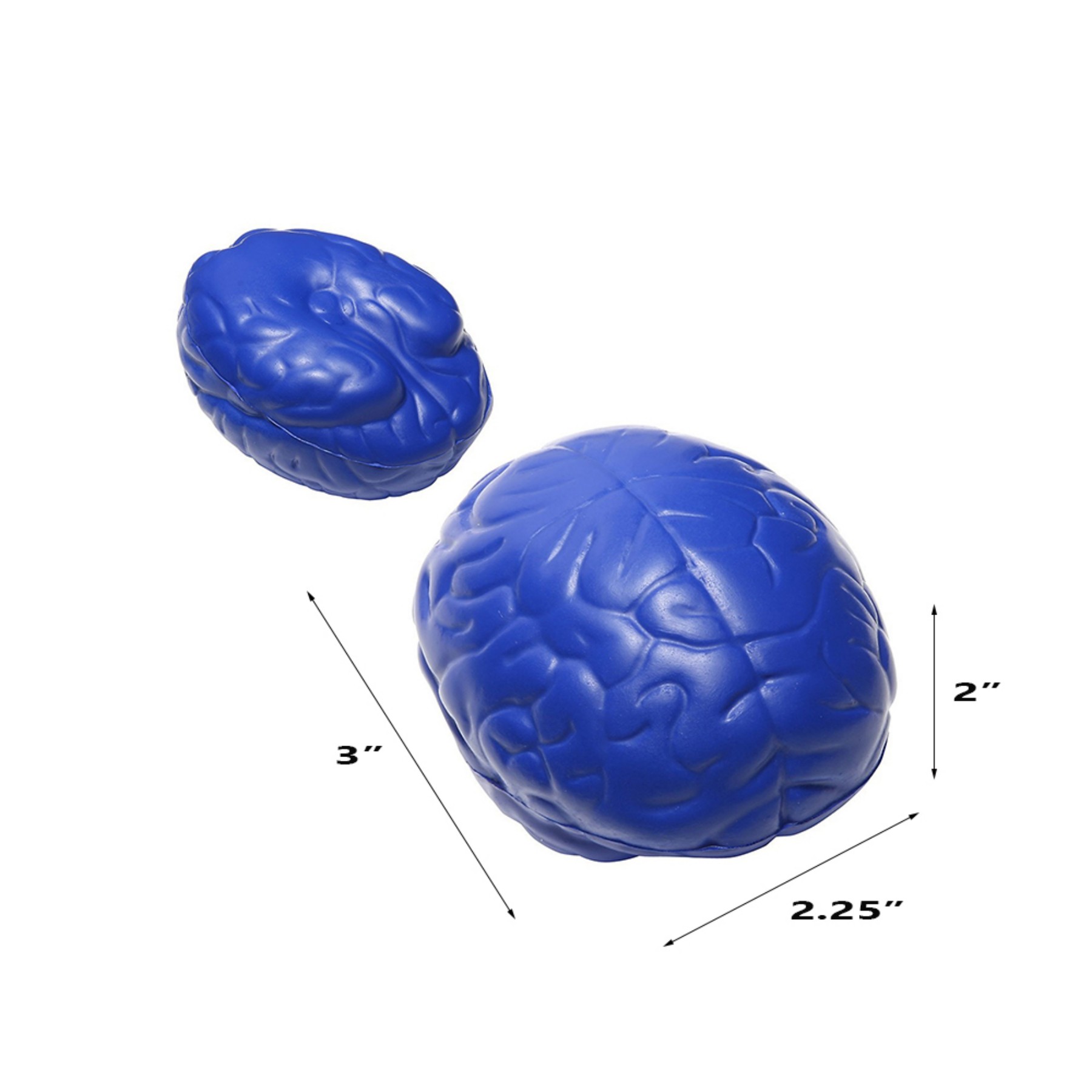 Slow Rise PU Brain Shaped Stress Reliever - Image 2