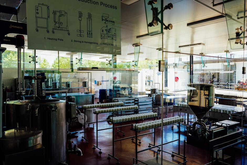 Spacious and modern food production plant interior with industrial machinery and processing line.